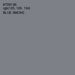 #7D8186 - Blue Smoke Color Image